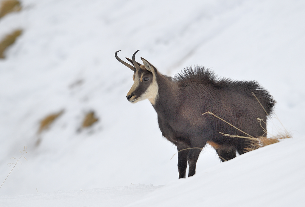 DS5_5544.jpg