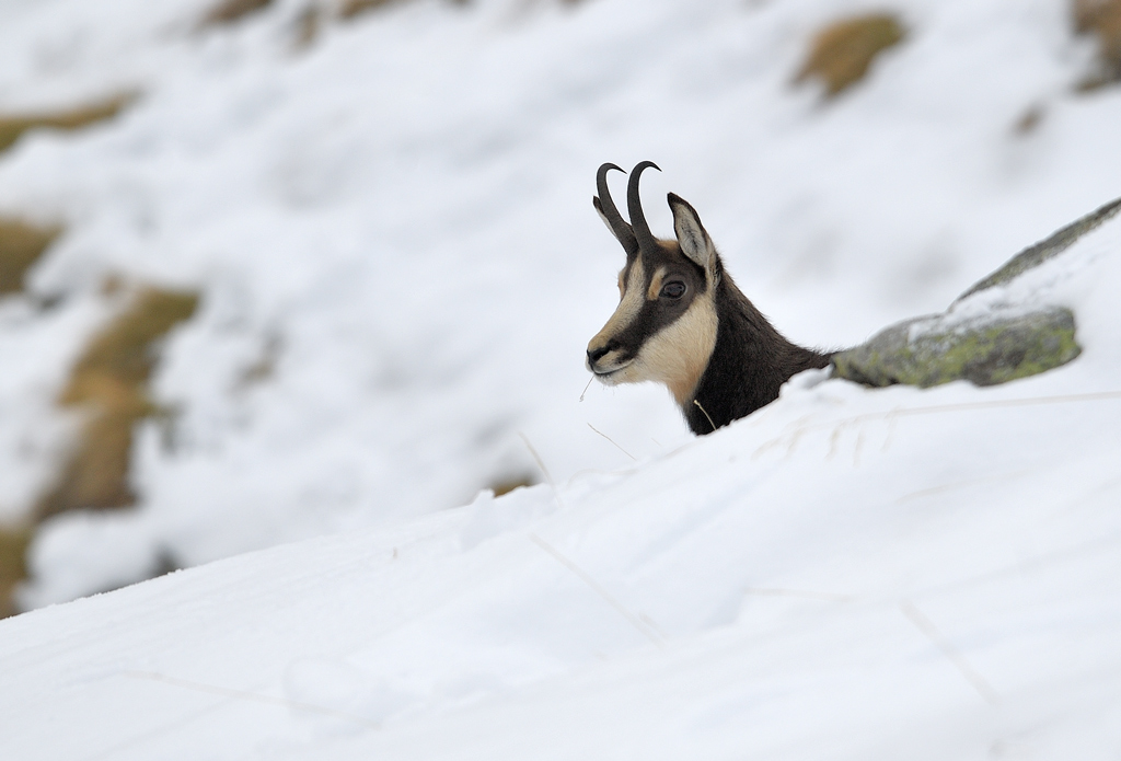 DS5_5552.jpg