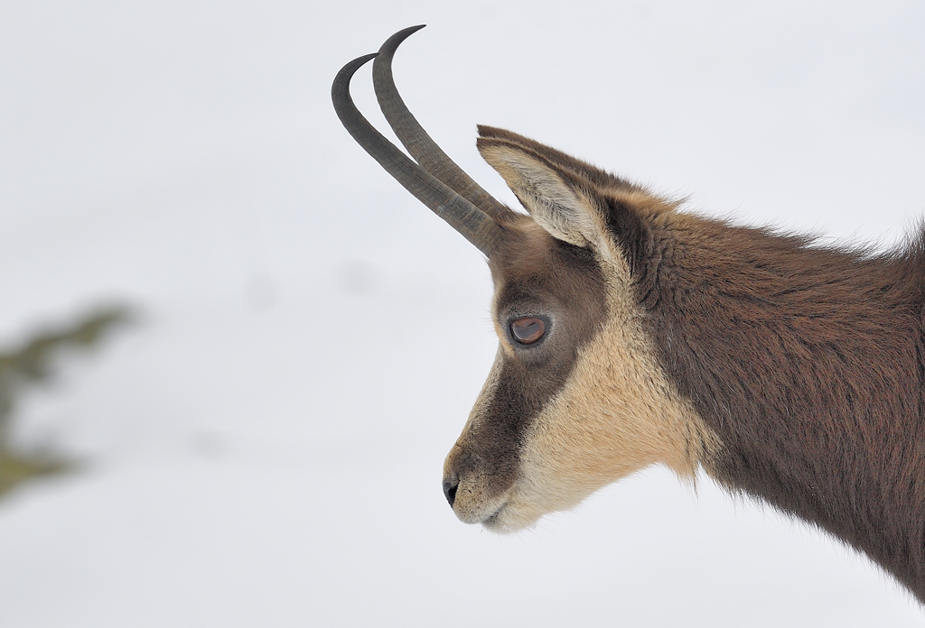 DS5_5559.jpg