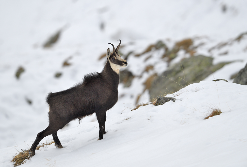 DS5_5571.jpg