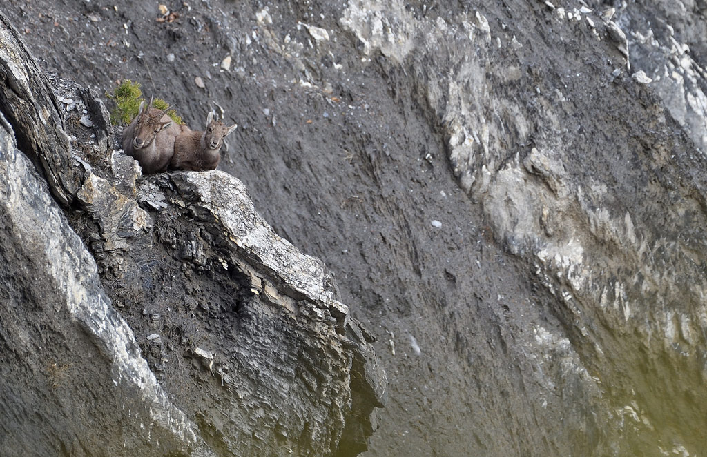 DS5_6700.jpg