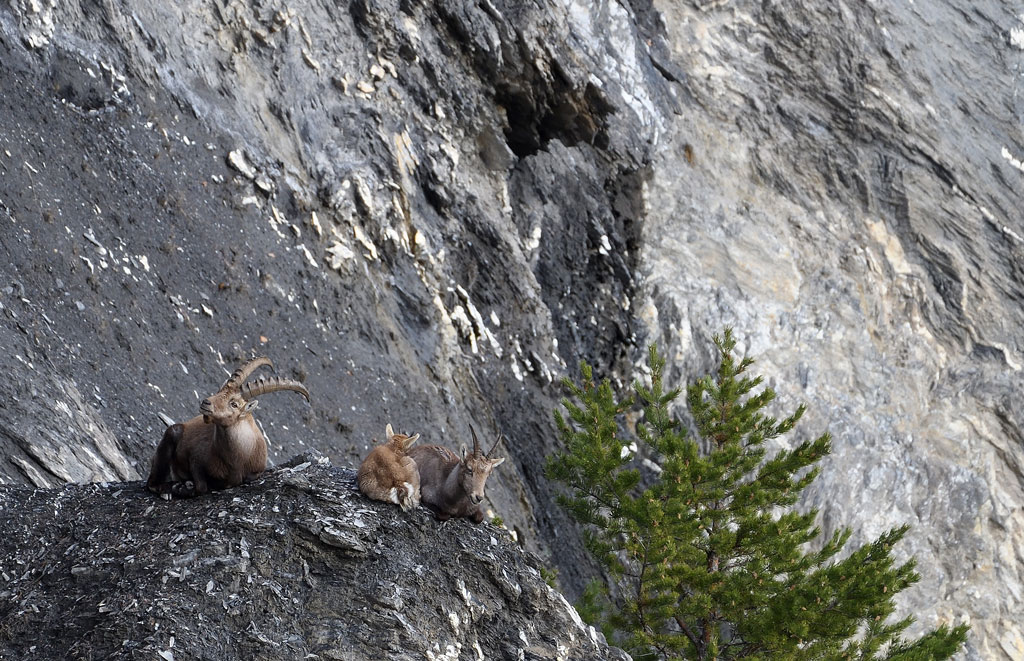 DS5_6708.jpg
