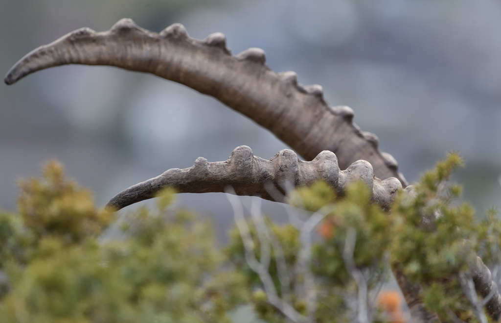 DS5_6726.jpg