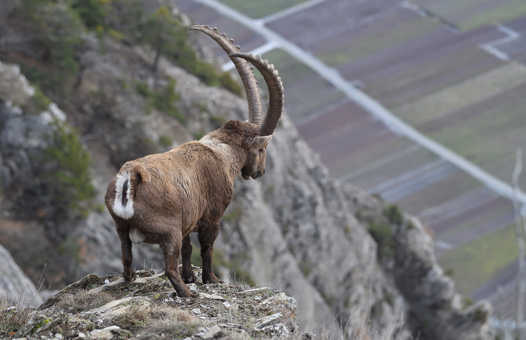 DS5_6735.jpg
