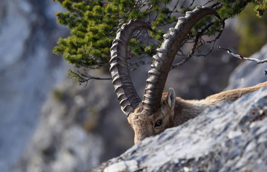 DS5_6745.jpg