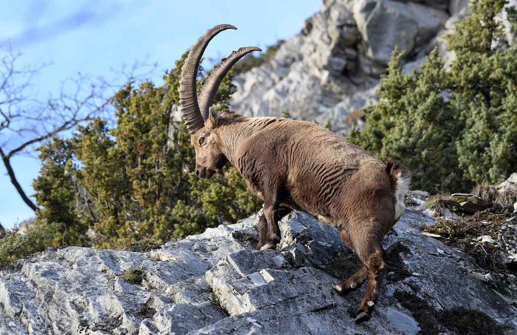 DS5_6751.jpg