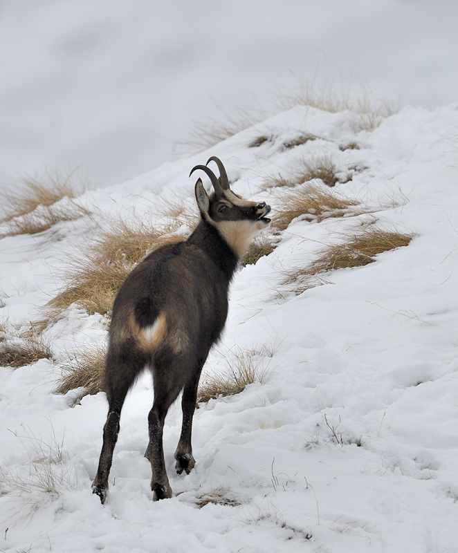 DS5_5596.jpg