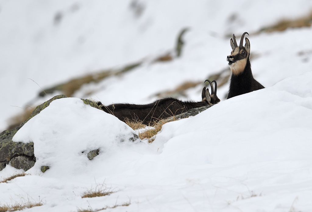 DS5_5634.jpg