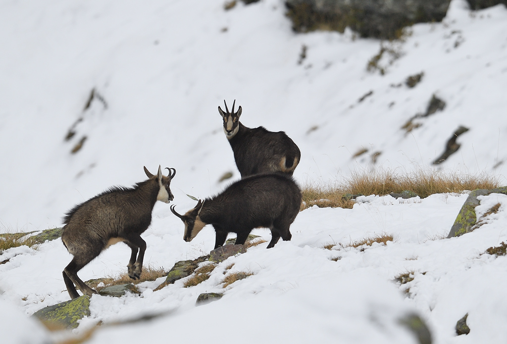 DS5_5652.jpg