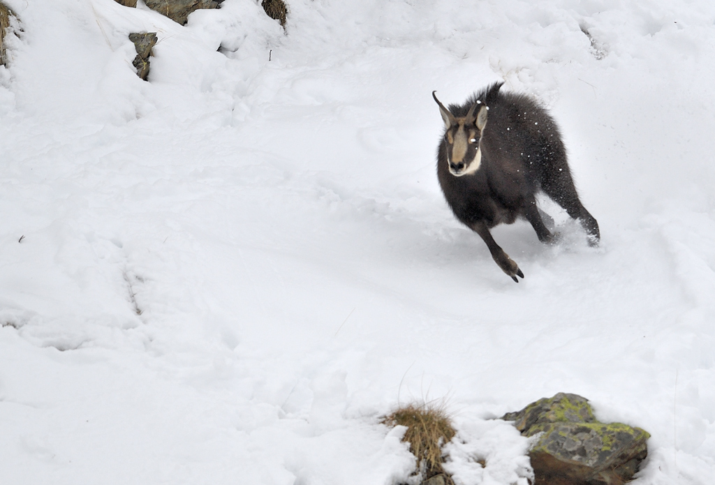 DS5_5658.jpg