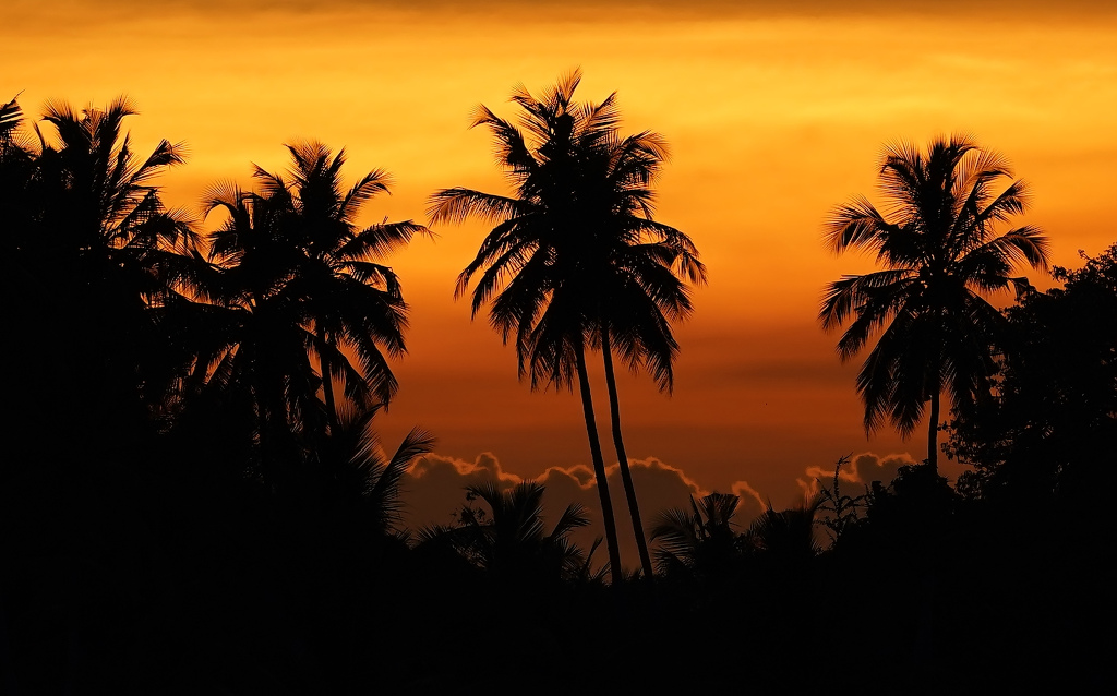 72- sunset sur Tissa lake.JPG