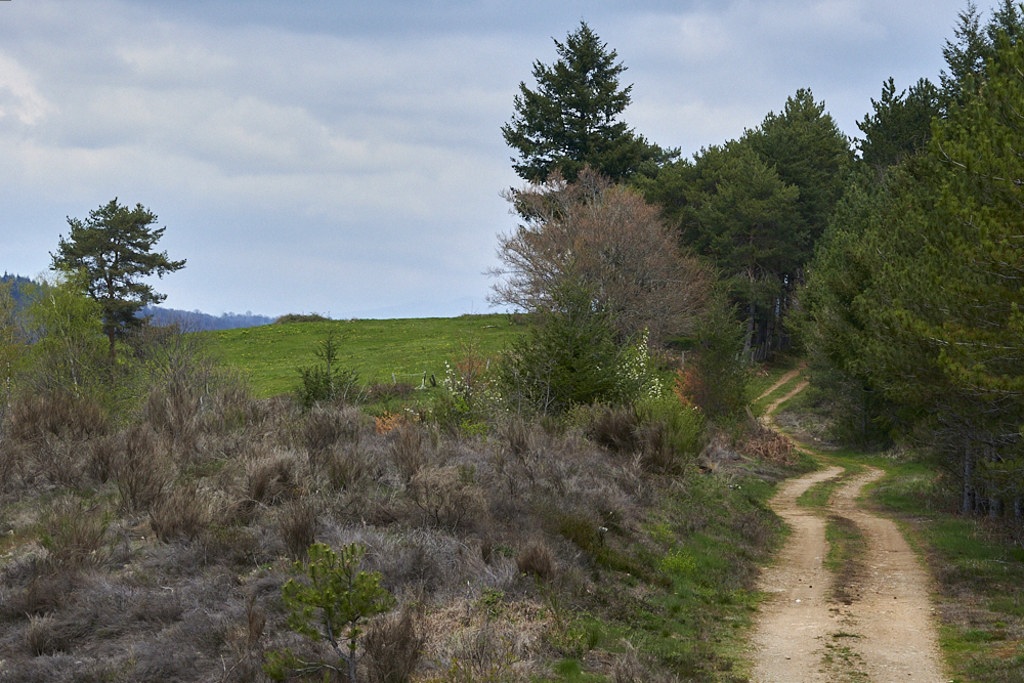 b 3173_1_01.jpg