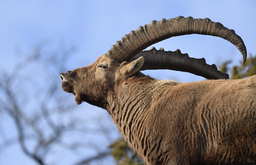 DS5_6759.jpg