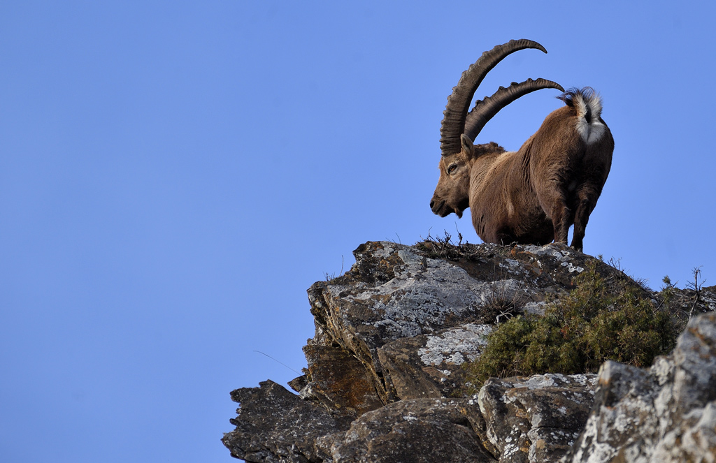 DS5_6765.jpg