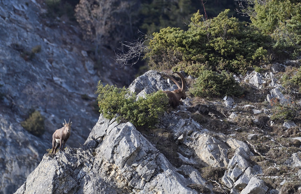 DS5_6772.jpg