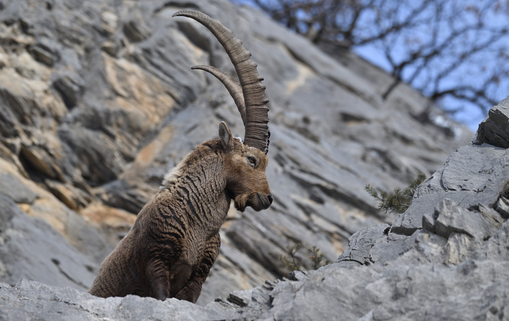DS5_6773.jpg