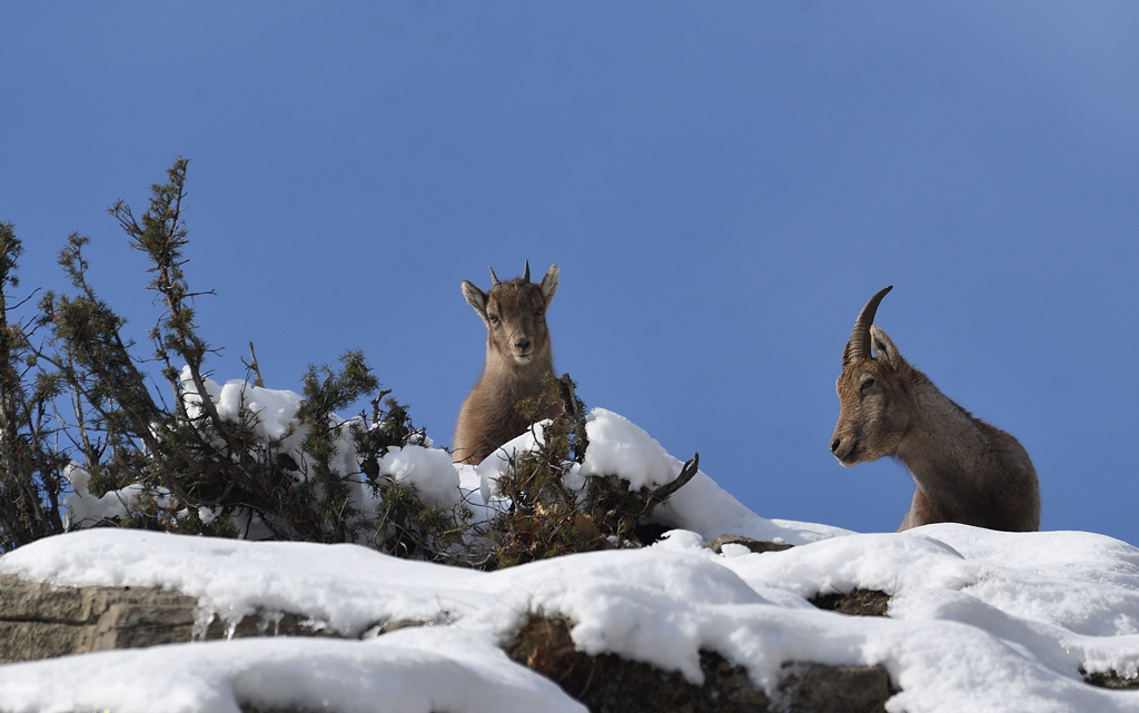 DS5_6791.jpg