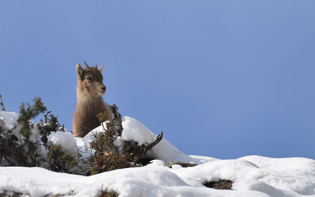 DS5_6792.jpg
