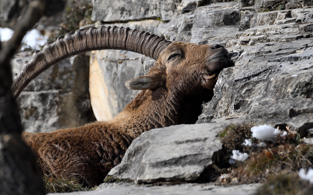 DS5_6806.jpg