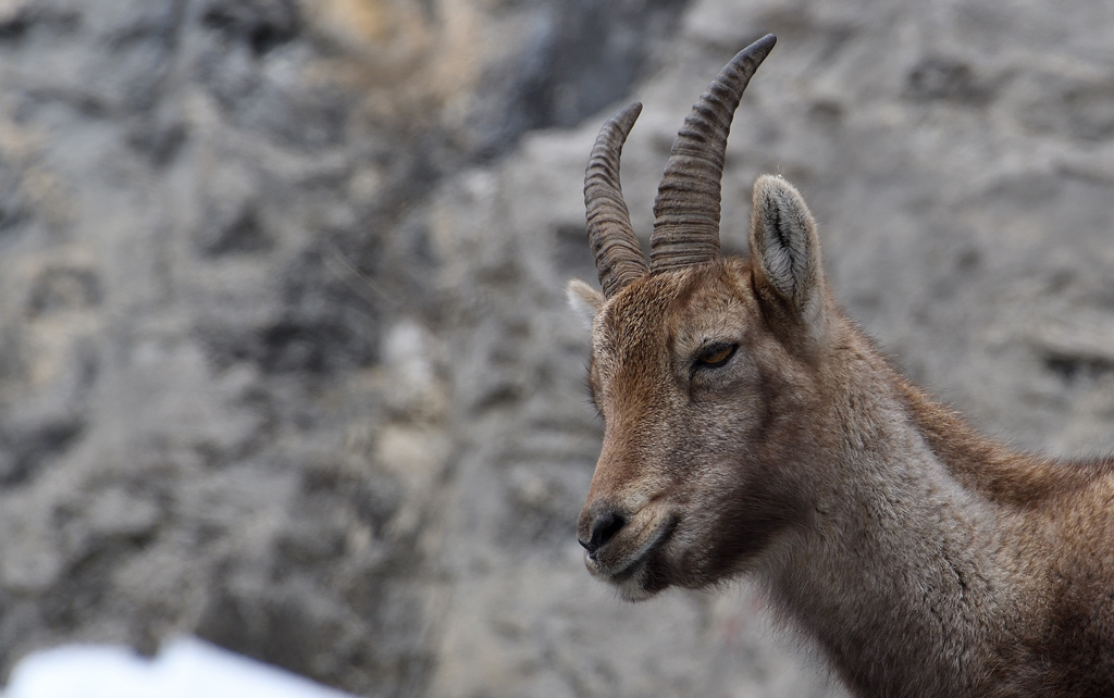 DS5_6818.jpg