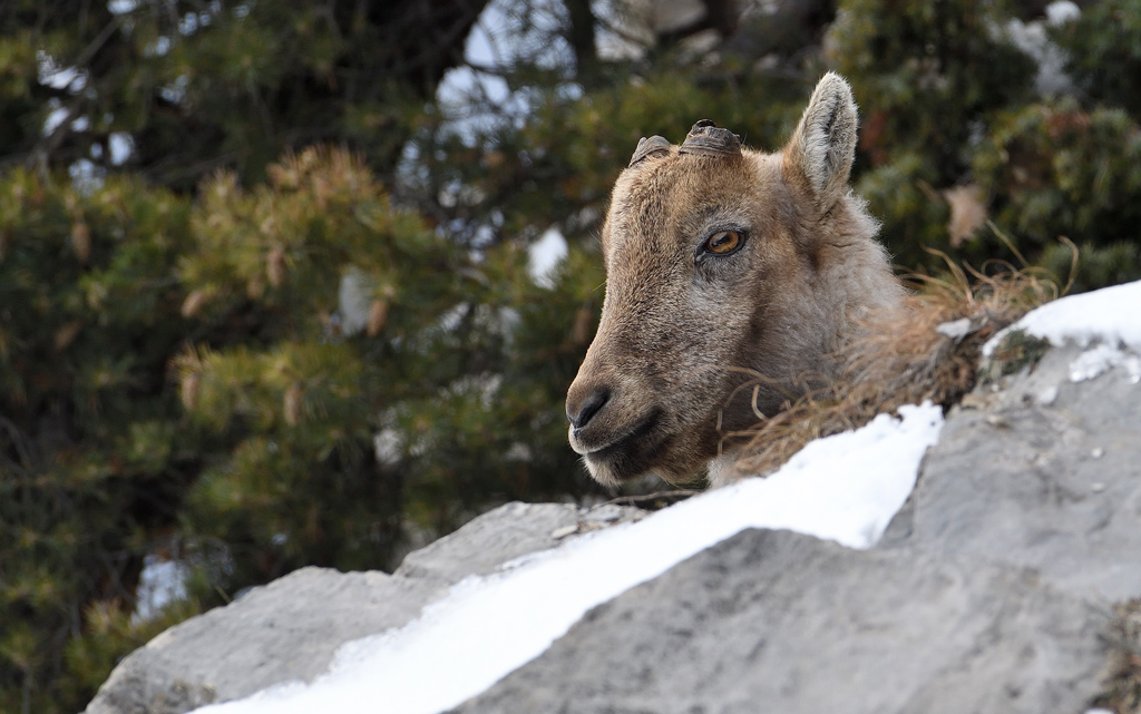 DS5_6819.jpg