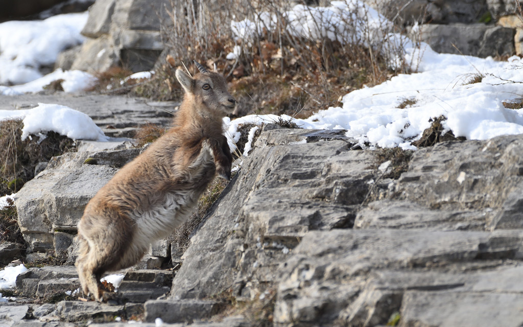 DS5_6828.jpg