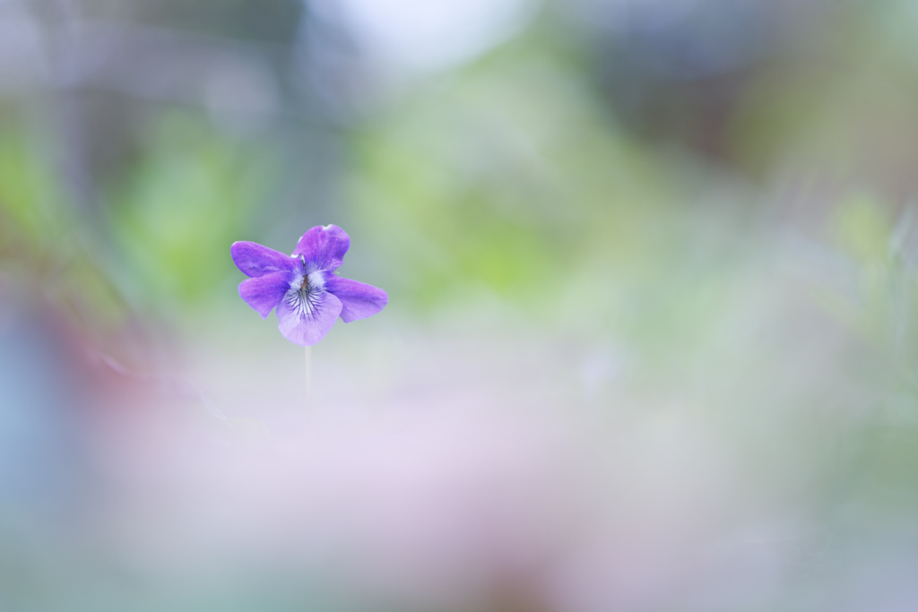 _DSC8148_DxO.jpg