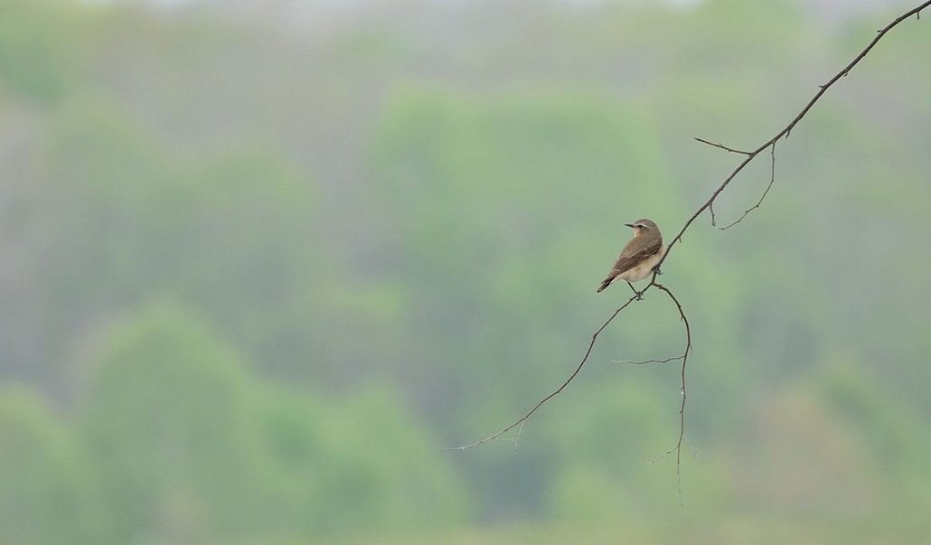 DSC_4357.JPG
