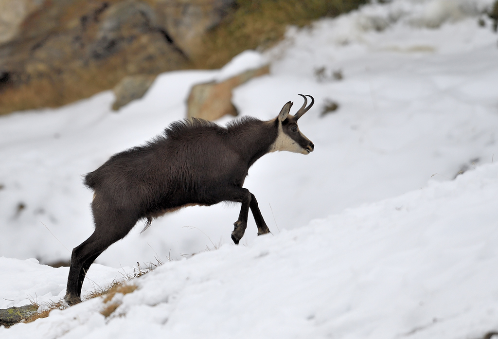 DS5_5667.jpg