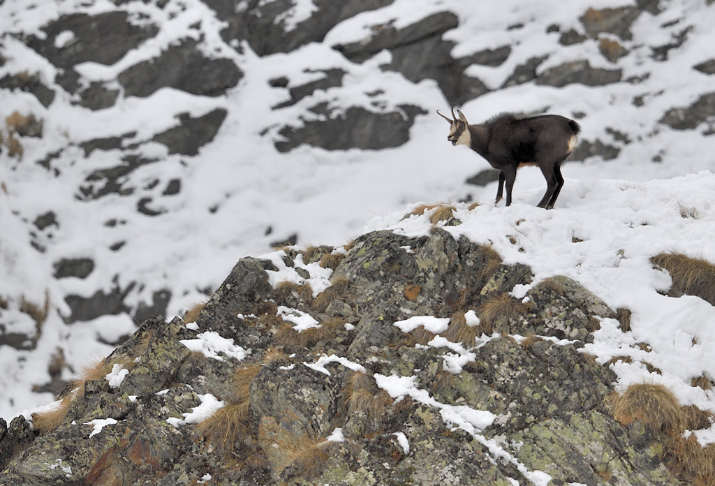 DS5_5678.jpg