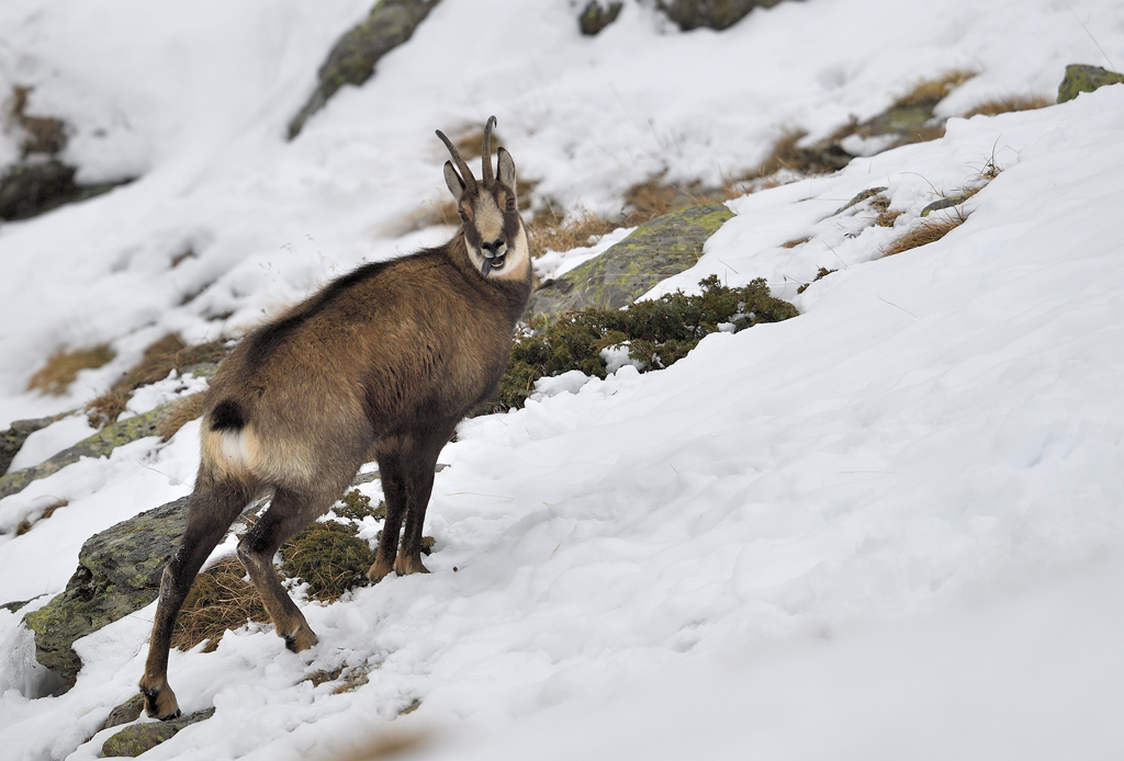 DS5_5687.jpg