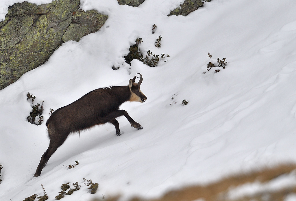 DS5_5705.jpg