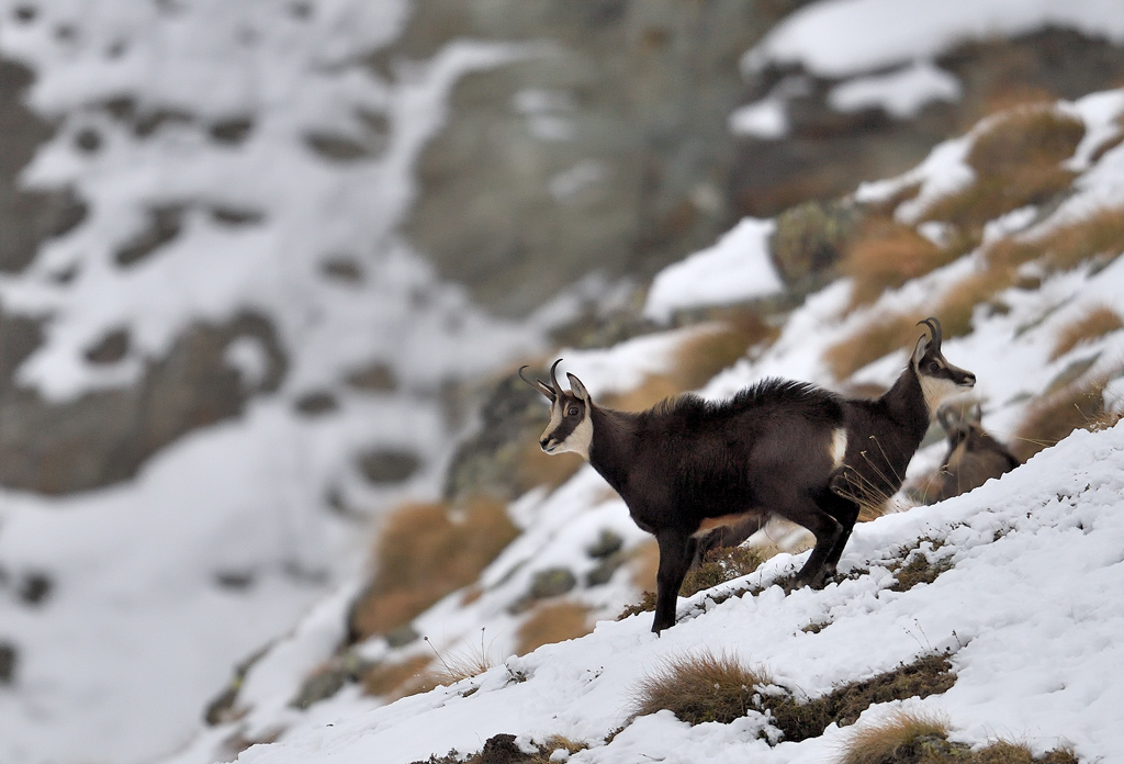 DS5_5718.jpg