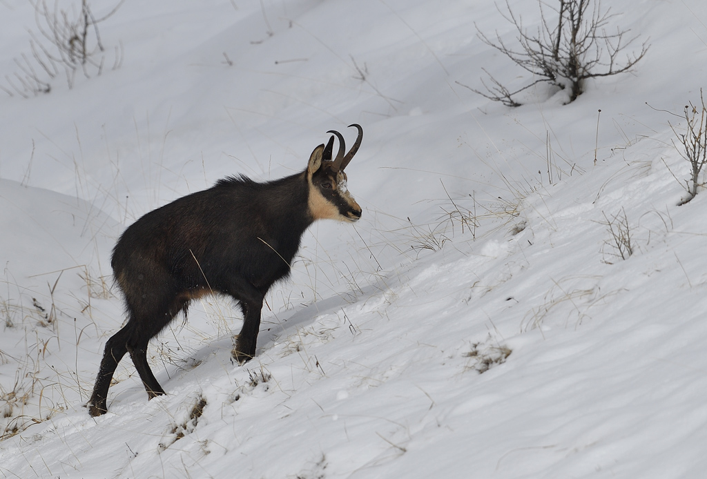 DS5_5768.jpg
