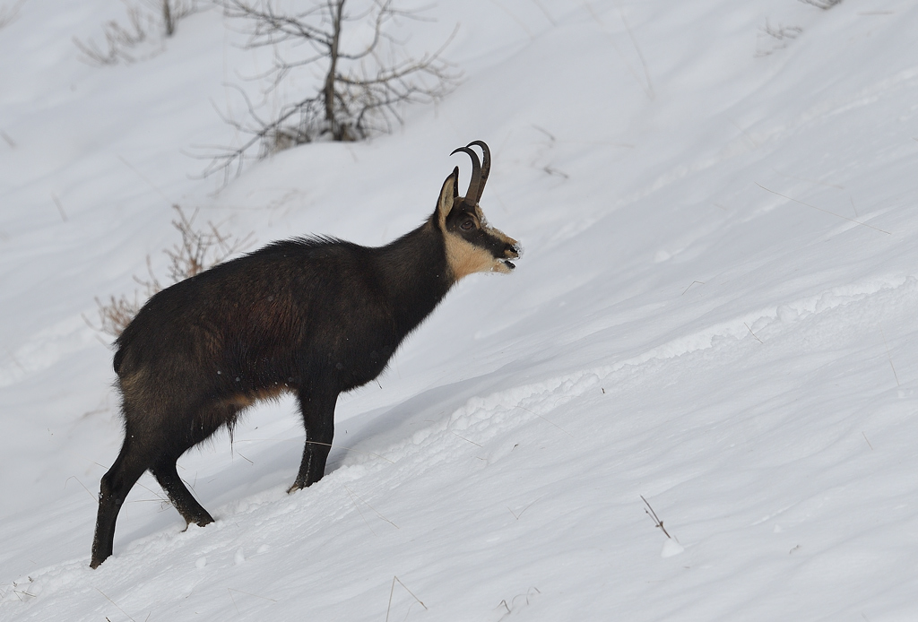 DS5_5770.jpg