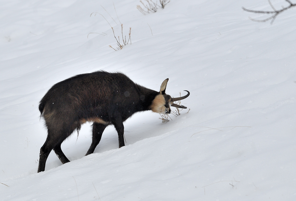 DS5_5774.jpg