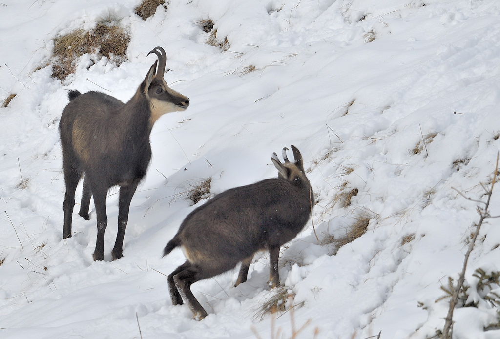 DS5_5801.jpg