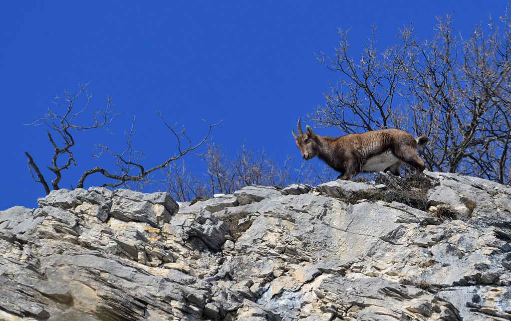 DS5_6849.jpg