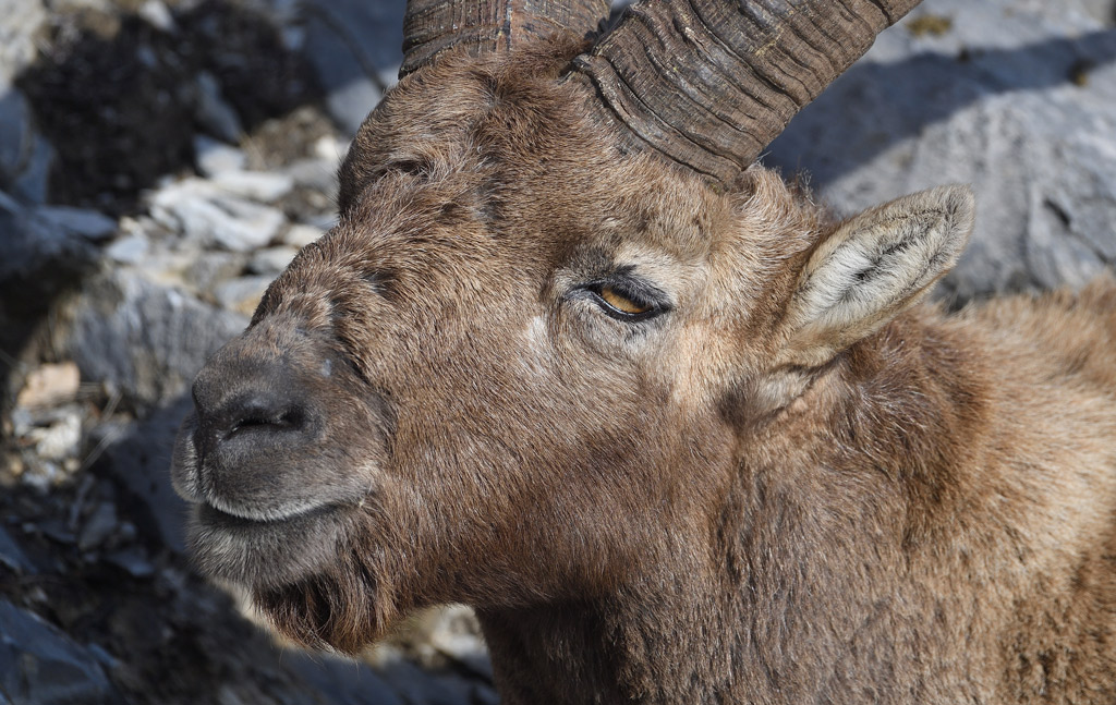 DS5_6863.jpg