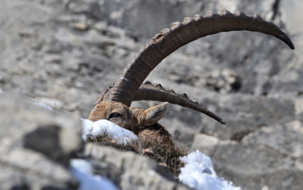 DS5_6870.jpg