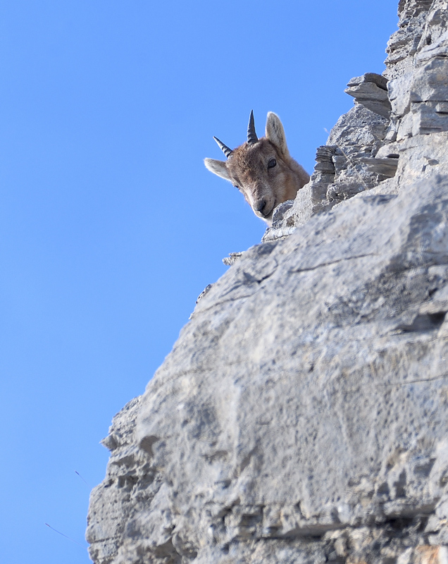 DS5_6872.jpg