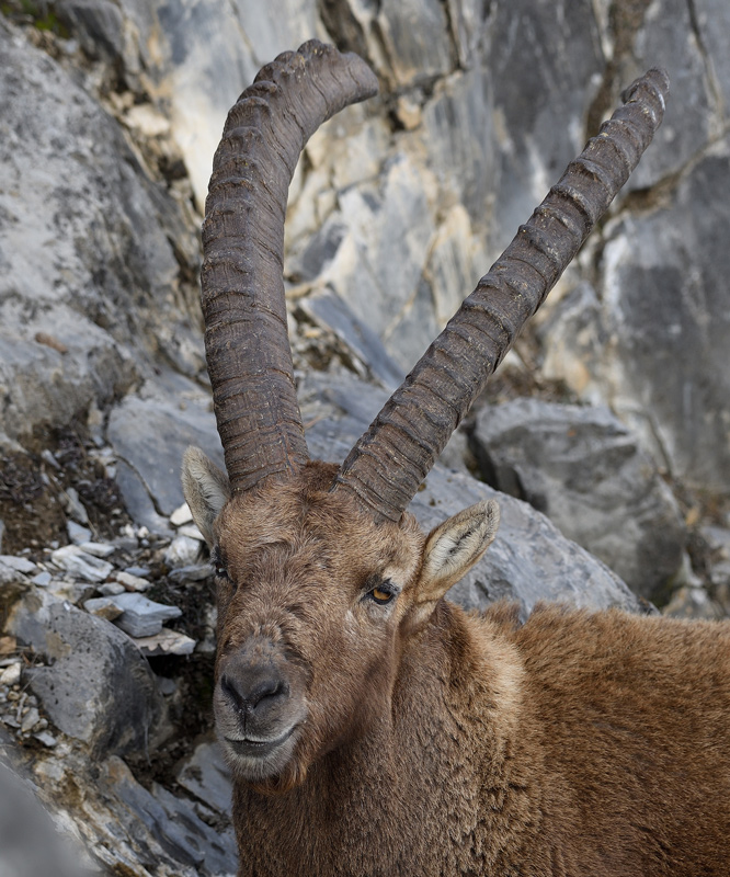 DS5_6884.jpg