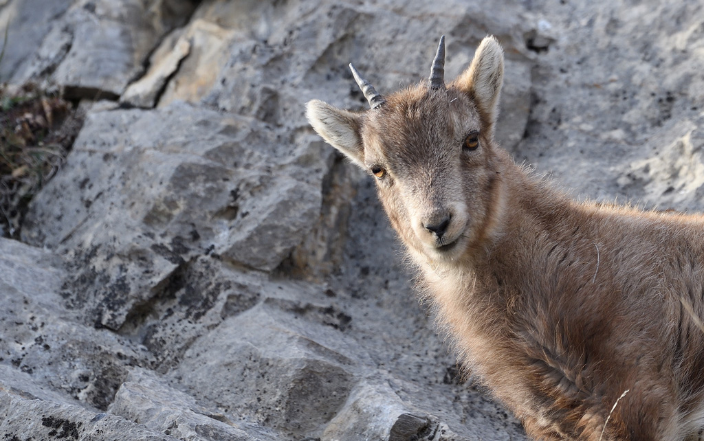 DS5_6890.jpg