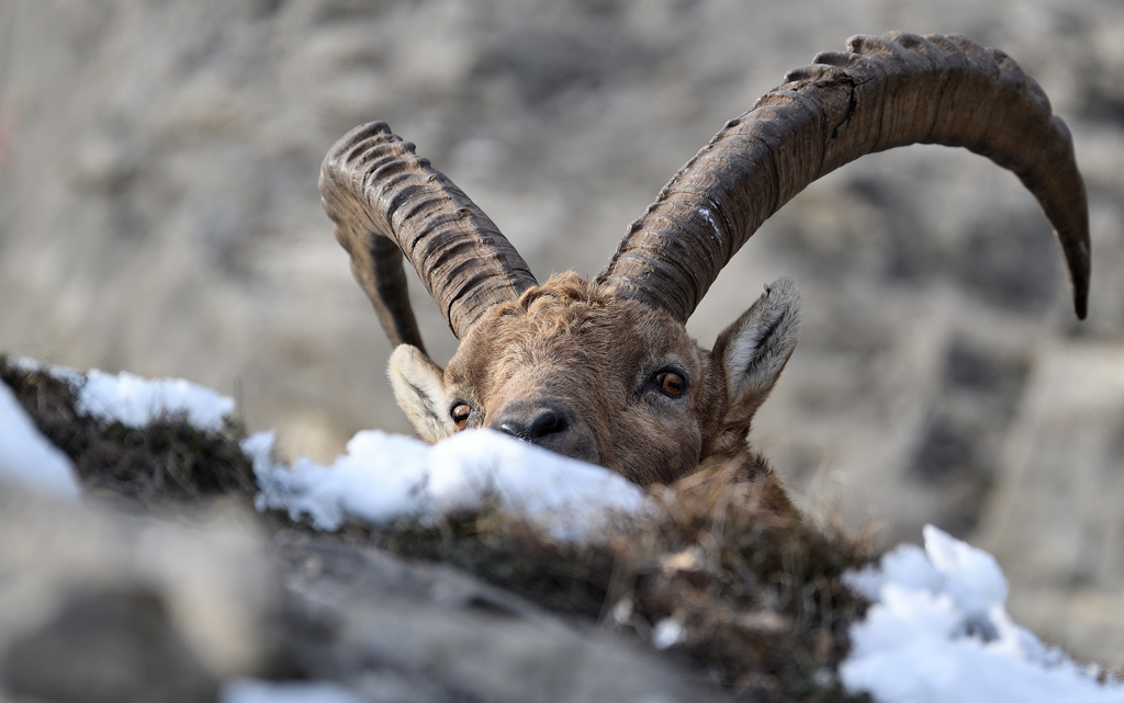 DS5_6894.jpg