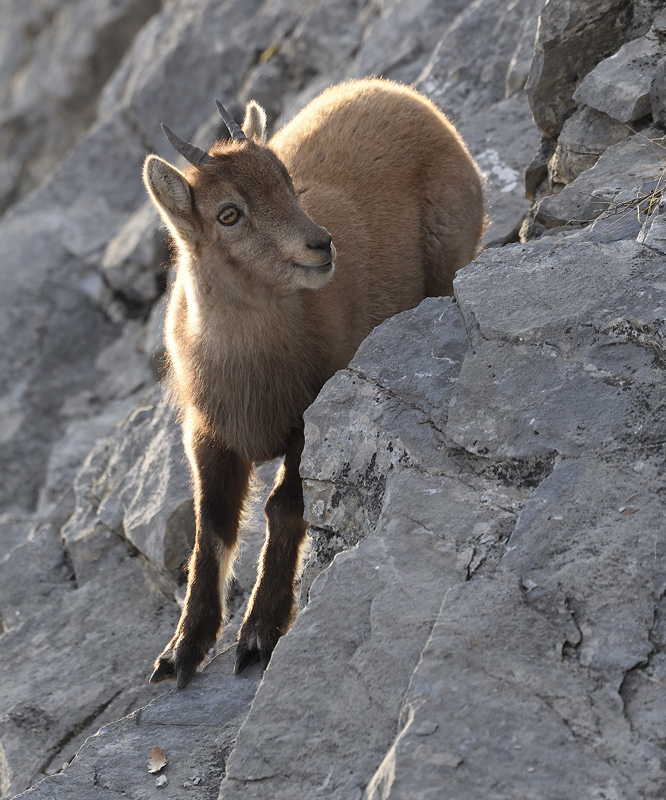 DS5_6913.jpg