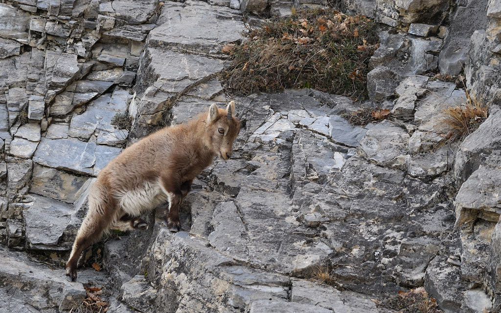 DS5_6915.jpg