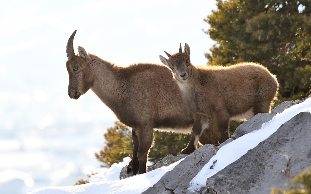 DS5_6938.jpg