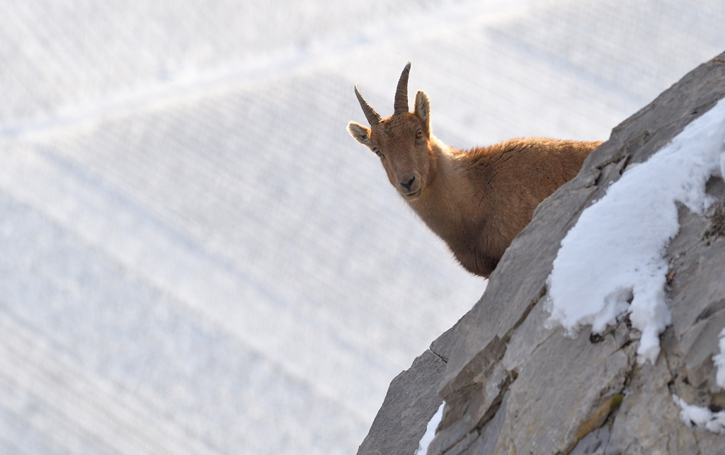 DS5_6944.jpg