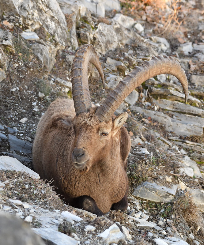 DS5_6963.jpg