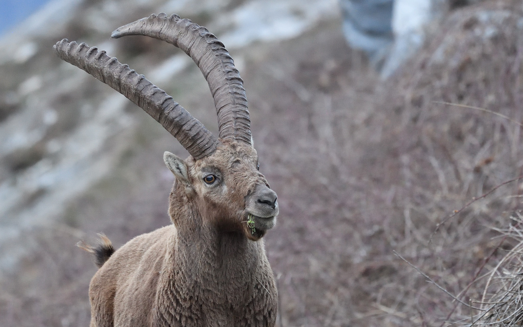 DS5_6971.jpg
